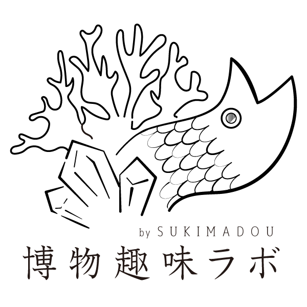 ツカナ製作所様 オオミズアオ 仄明かりサイン入り＆ポストカード ツカナ制作所 